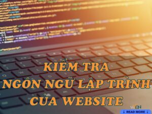 hướng dẫn kiểm tra website viết bằng ngôn ngữ gì nhanh nhất