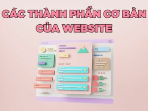 cac thanh phan co ban cua website