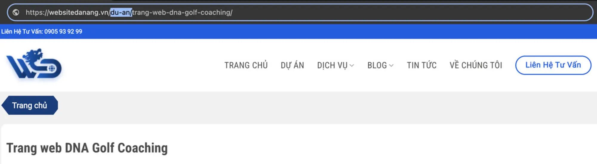 Category và Tag Slug