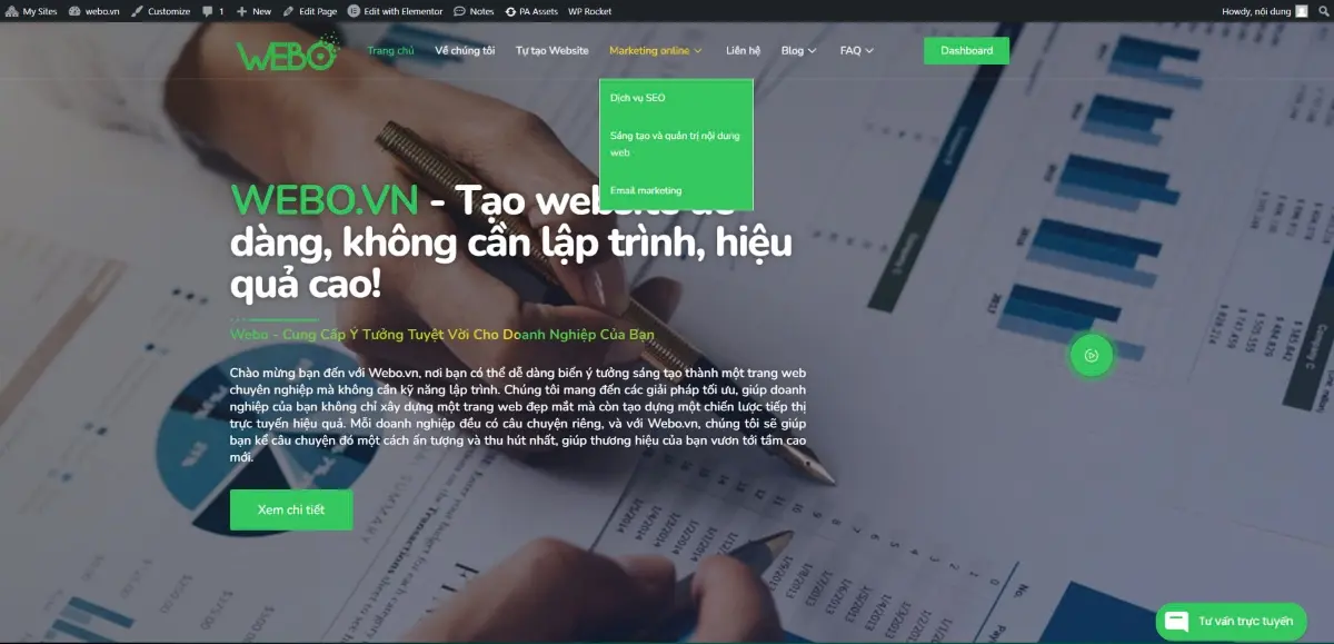 truy cập vào trang web của bạn để kiểm tra xem menu