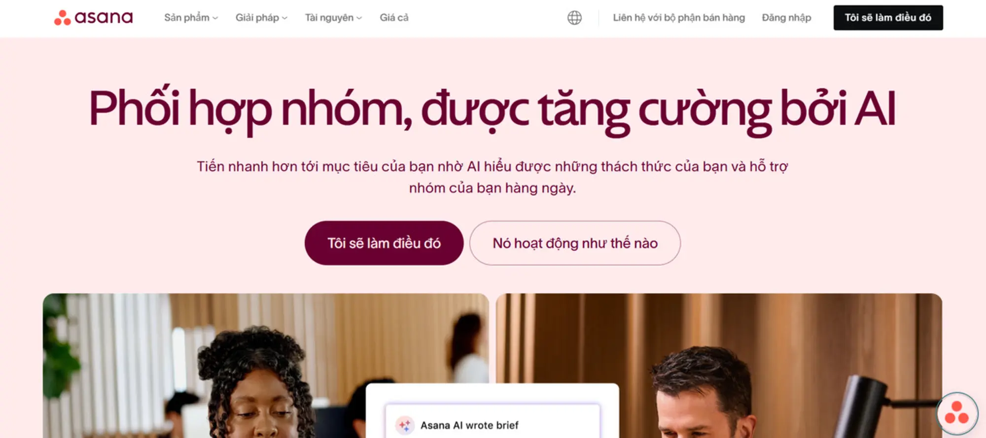 quản lý nội dung làm việc nhóm từ asana
