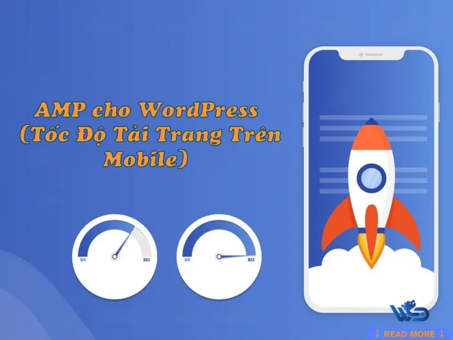amp cho wordpress