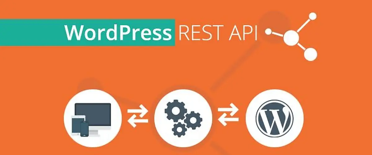 ứng dụng cơ bản của wordpress ress api