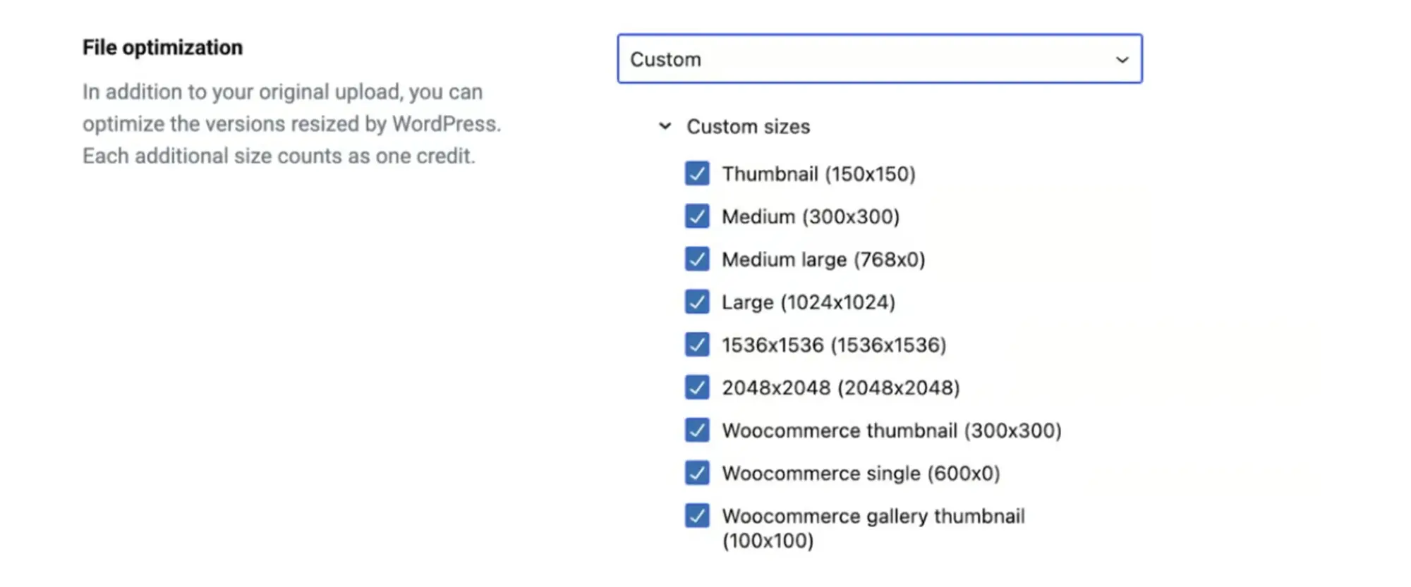 quản lý quá trình nén ảnh wordpress dễ dàng hơn